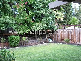 Fabulous Treelake 5 Bedroom in Granite Bay, CA (Photo 9 of 12)