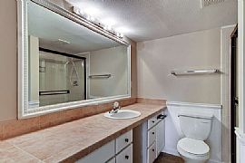 Bright, Clean 4 BR Home with New Everything for Your Enjoyment!  in Centennial, CO (Photo 10 of 12)