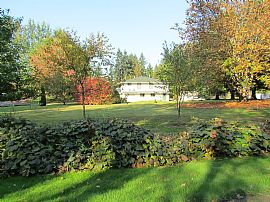 Daylight Basement Duplex Including Paid Utilities in Battle Ground, WA (Photo 6 of 12)