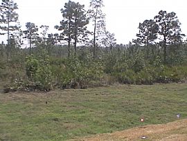 Like New! 3 BR, 2.5 BA with 1 Car Garage in Orlando, FL (Photo 6 of 7)