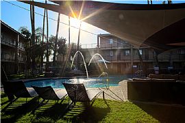 1 BR, 1 BA Apartment - $99 Move You In - 1 Month Free in Tempe, AZ (Photo 5 of 8)