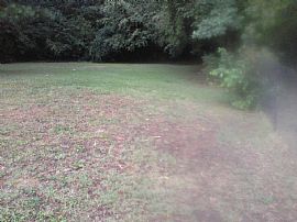 3 Br, 1 Ba Home with Hardwood Floors in Forest Park, GA (Photo 6 of 6)