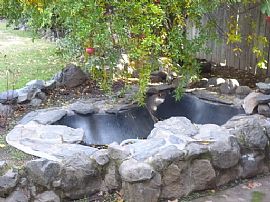 4 Br, 2 Ba Victorian Home in Elk Grove in Elk Grove, CA (Photo 10 of 11)