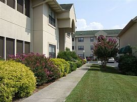 Affordable Luxury Apartment in Sevierville, TN