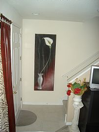 Beautyful and Cozy 2br Townhouse, Contemporary. in Largo, FL (Photo 3 of 5)