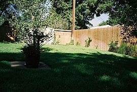 Brick Ranch in Willshire - Close to Scott Elementary in Greeley, CO (Photo 4 of 4)