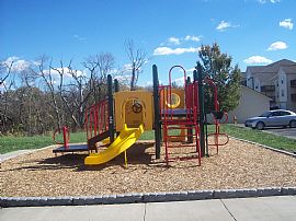 You Won'T Find Another One Like It!! in Independence, MO (Photo 4 of 5)