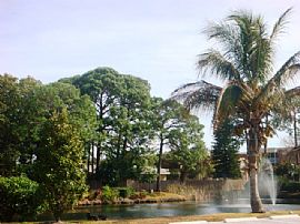 2 Bedroom 2 Bath Very Nice Unit! Stainless Steel! in Sarasota, FL (Photo 4 of 5)