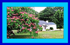 Lowest Rent in The Area For Fully Remodeled 4 Bedroom Home! in Auburn, GA