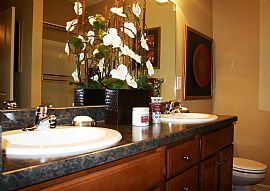 Glamorous 1 Bedroom Apt Home in Kansas City, MO (Photo 2 of 4)