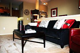 Glamorous 1 Bedroom Apt Home in Kansas City, MO (Photo 3 of 4)