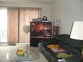 Great Furnished Place You’ll Love to Live. Heat, Gas and Water  in Arlington Heights, IL