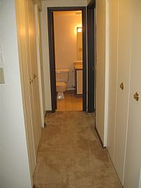 1 Bed 1 Bath Large W/walkout  in Grand Rapids, MI (Photo 3 of 5)