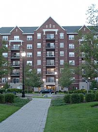 Luxury Condo, Planes, Trains and Autos in Palatine, IL