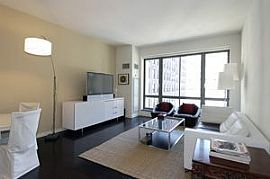 Nice One Bedroom Apartment in Manhattan, NY