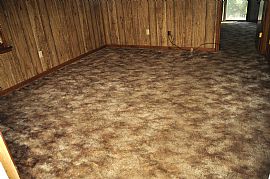 Nice 1 Bedroom Apartment with Balcony--Convenient to Downtown in Martinsville, VA (Photo 2 of 4)