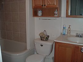 Beautifully Renovated 1br Apartment in Drexel Hill, PA (Photo 3 of 5)