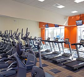 Great 1 Bedroom Apartment in Manassas Park, VA (Photo 3 of 6)