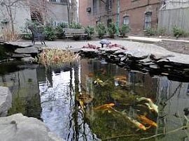 $1445 / 2br - 2 Bedroom Apartment Available For Summer Move In! in Baltimore, MD (Photo 6 of 6)