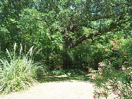 1 Mile From Parris Island in Beaufort, SC (Photo 10 of 12)