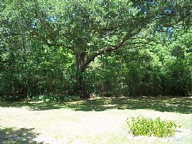 1 Mile From Parris Island in Beaufort, SC (Photo 9 of 12)