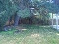 Great 3bedroom Close to Sac State in Sacramento, CA (Photo 2 of 8)