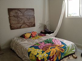 Super Pet Friendly Apartment !1st Month Free!! in Davis, CA