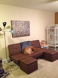 Super Pet Friendly Apartment !1st Month Free!! in Davis, CA (Photo 7 of 12)