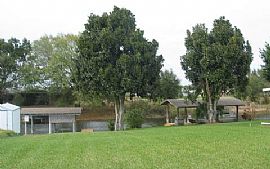 Canal Home - Very Spacious! on 2 Lots! in Lake Placid, FL (Photo 7 of 7)