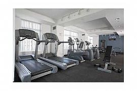 Fascinating 1 Bed 1 Bath in Award Winning Neighborhood in Cambridge, MA (Photo 10 of 11)