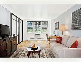 1bedrooms 1bathrooms Apartment in Manhattan, NY