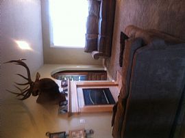 Beautiful 5 Bedroom 3 Bath Home  in Mona, UT (Photo 3 of 11)