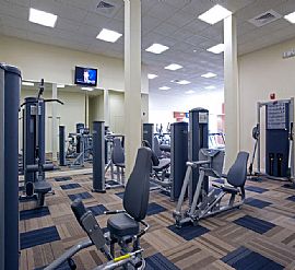 Spacious 1 Bedroom, Early June Special  in Manassas Park, VA (Photo 8 of 8)