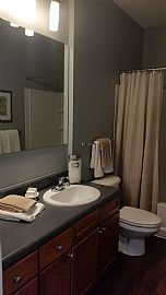 Spectacular 1 Bedroom Apartment Near Downtown in North Kansas City, MO (Photo 4 of 7)