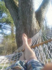 4 Br House in Quiet Neighborhood with Back Deck and Yard in Albany, NY (Photo 3 of 4)