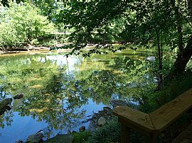 3 Bedroom Home on Shenandoah River in Maurertown, VA (Photo 12 of 12)