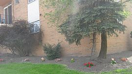 Superior Club (1 Bdr) in East Cleveland, OH (Photo 6 of 8)