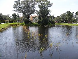 Active and Affordable 55+ Community! in North Port, FL (Photo 6 of 6)