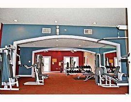 1/1 Wood Floors Washer/dryer in Doral in Miami, FL (Photo 4 of 6)