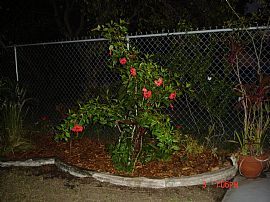 2 Bedroom Home Near Grand in Holiday, FL (Photo 7 of 8)