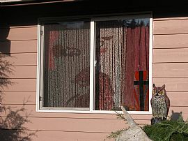 Enjoy The Wildlife View in Smokey Point, WA (Photo 9 of 9)