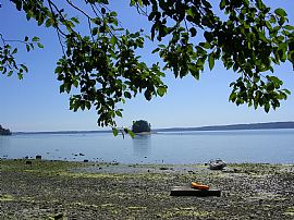 Waterfront Furnished Home in Raft Island, WA (Photo 1 of 6)