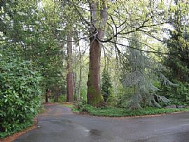 Waterfront Furnished Home in Raft Island, WA (Photo 5 of 6)
