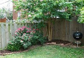 Nicely Updated 3br 2ba Duplex in Arlington, VA (Photo 6 of 6)