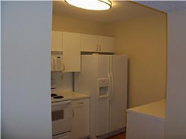 3/2 W Yard, Wood, Tile in The Heart of Doral! in Miami, FL (Photo 2 of 4)