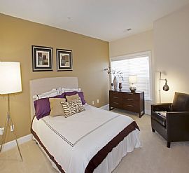 Luxury One Bedroom Apartment in Manassas Park, VA (Photo 6 of 8)