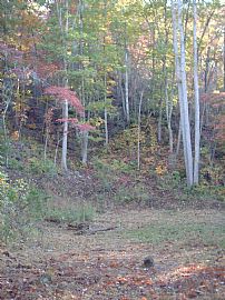 2 Bedroom 1 Bath 900 Sq Ft Upper Level in Franklin, NC (Photo 1 of 6)