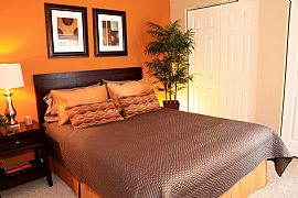 Call For Daily Specials in Plantation, FL (Photo 4 of 5)