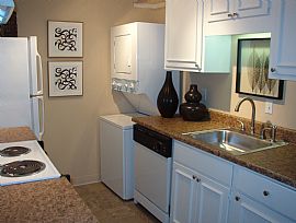 Gorgeous One Bedroom  in Louisville, KY