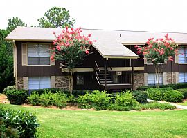 1 Bd/1 Bath Experience The Most Affordab in Ridgeland, MS (Photo 4 of 5)